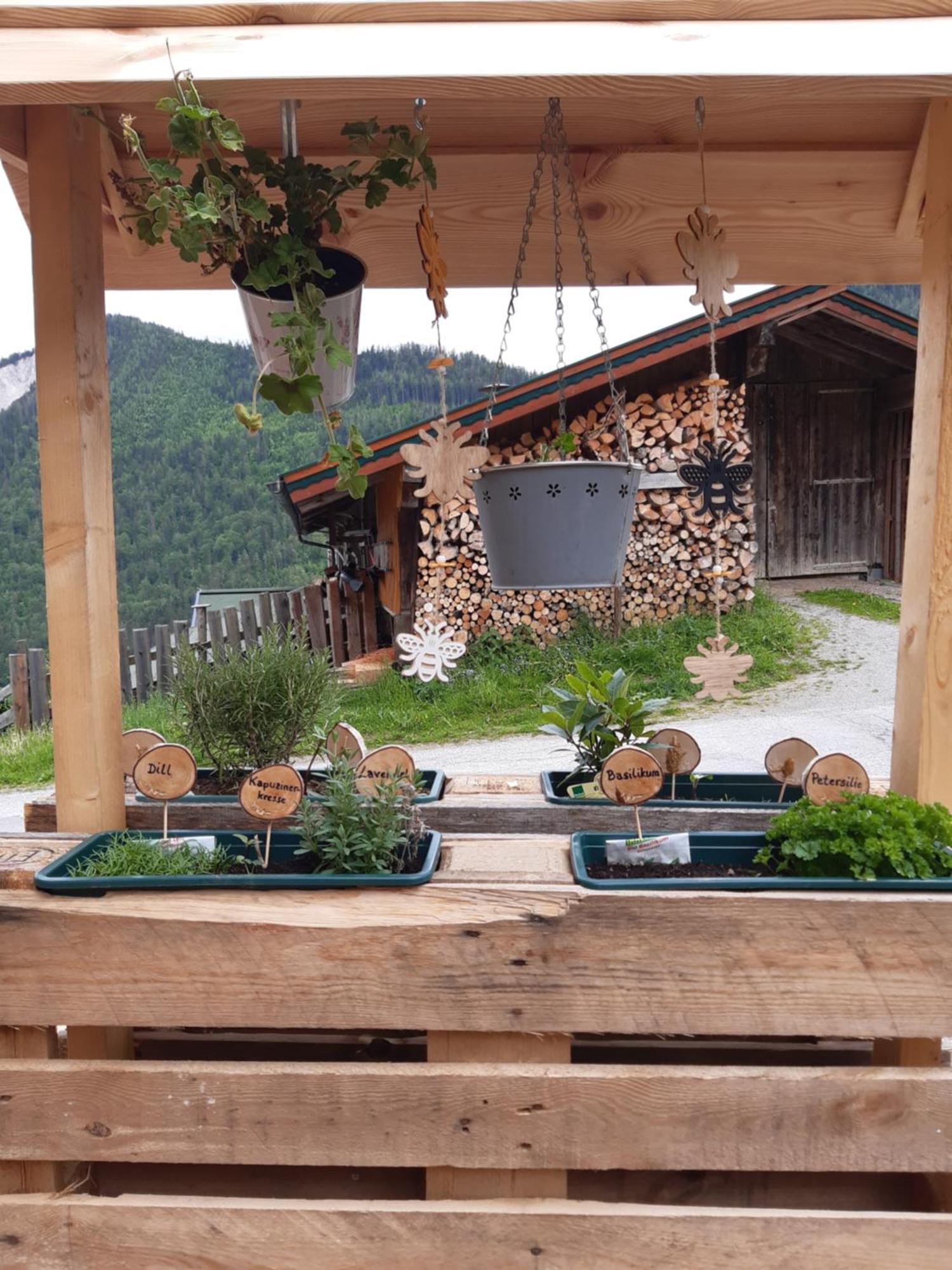 Ferienhaus Lechnerhof 斯拉德明 外观 照片